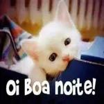 Boa noite. Boa tarde