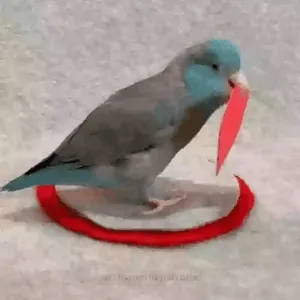 QTtw9Q