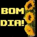 0903 bom dia 4