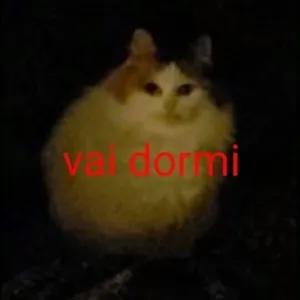 nR1Tgp