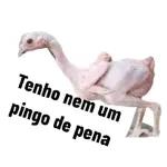 Tenho nem um pingo de pena