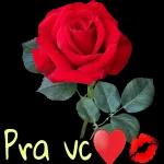 VAL ARTES OH GLÓRIA 