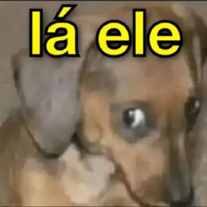 6e562A