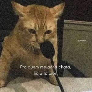 C1LVRQ