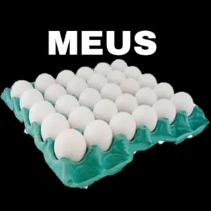MEUS - getsticker.com