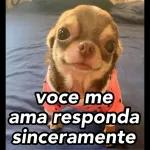 Responda