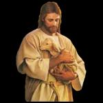  Bom dia Jesus
ilumine seu dia
20
(IHS)
82
HON