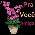 dias de vitoria
