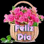 Feliz dia das mulheres