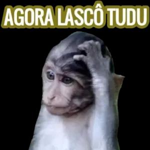 AGORA LASCÔ TUDU - getsticker.com