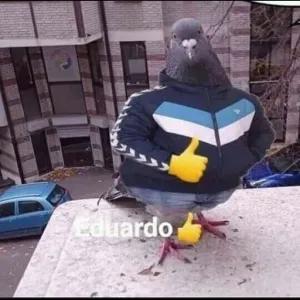 cTZrlR