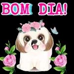  Bom Dia!