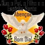 carinho 