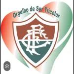 Fluminense sticker