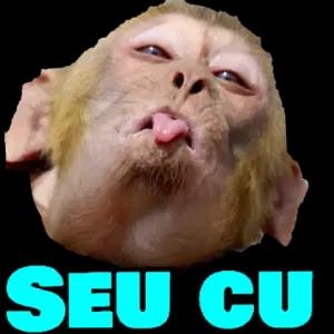 endoYN
