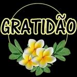 Apowersoft BOM DIA 