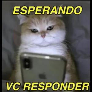 ESPERANDO VC RESPONDER - getsticker.com