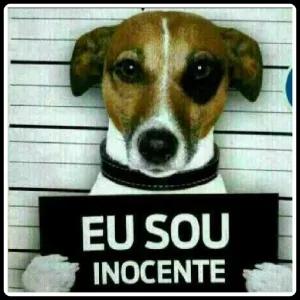 EU SOU INOCENTE - getsticker.com