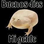 🐸Sapo Feliz Dia 🐸