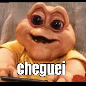 lqcqQd