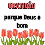 BOM. DIA NA PAZ DE DEUS!