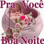 pacote inteli...