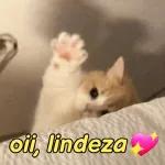 vai me pegar quanto?