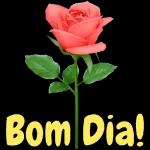 hajaja