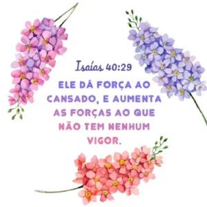 2CxBqd