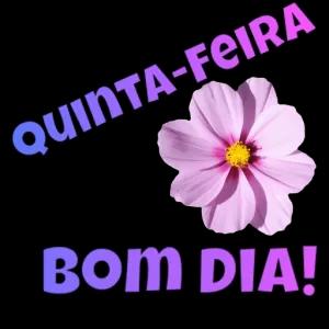 wqaJ4M
