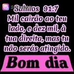 versículos 