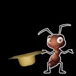 Tenho q tirar o Chapéu pra vc