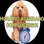 agendado