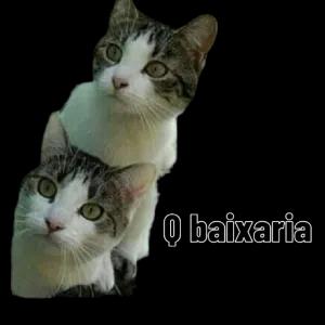 Q baixaria  - getsticker.com
