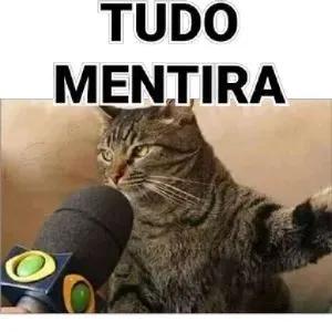 TUDO MENTIRA - getsticker.com