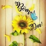 boom dia