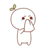 Bạn có thích mèo không?