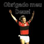 FLAMENGO 