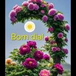 boa noite 