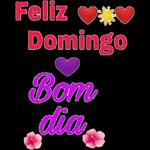 pacotes