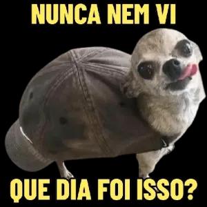 Nunca nem vi que dia foi isso? - getsticker.com