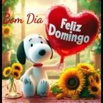 bom domingo 