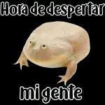 🐸Sapo Feliz Dia 🐸