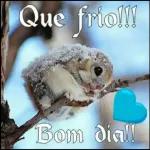 BOM SÃO JOÃO!
