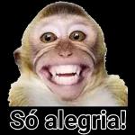 só alegria
