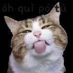 Vixi e é?