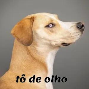 r5DrqA