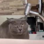 BORA... EU PAGO À TRÊS.