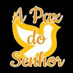 Emoticons dezembro