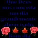 pacote
